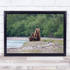 Family Affair Cubs Alaska Cute Brown Bear Wildlife Wild Nature Wall Art Print