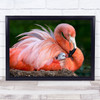 Flamingo Mom With Her Chick Bird Baby Pink Feathers Cute Wall Art Print