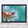 Freedom Ladybug Ladybird Dandelion Bokeh Seeds Climb Climber Climbing Art Print
