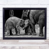 Friends Forever Elephant Baby Meeting Youngsters Elephants Cute Cub Art Print