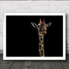 Hello Giraffe Rome Italy Animal Neck Zoo Dark Low Wall Art Print