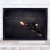 Hildegard the tulip Studio Dogs Wall Art Print