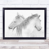 Horses Animals Horse Kiss Hug Embrace Love Friends Friendship Wall Art Print