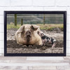 I Love You Mummy Animals Pigs Baby Mother Affection Mud Fence Family Art Print