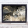 In Motion Action Speed Horse White Gallop Galloping Wall Art Print
