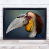 Jabrix Animal Bird Colourful Colourful Beak Wall Art Print Jabrix Animal Bird Colourful Colourful Beak Wall Art Print
