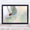 Ladybird on blue-green hydrangea Ladybug Soft Red Leaf Wall Art Print