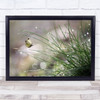 Landing Butterfly Fauna Insect Grass Closeup Drop Drops Water Wall Art Print