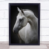 Maggie Horse Horses Simple Animal Animals Neck Kindness Kind Mare Wall Art Print