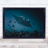 Manta's Flight Underwater Manta Maldives Diving Ray Fish Dark Bottom Art Print