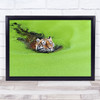Relaxation Tiger Swimming Algae Relax Animal Bath Swim Green Denmark Art Print