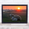 Sleep Well Sheep Animal Animals Lamb Cattle Cute Love Family Tender Art Print