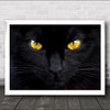 The Hypnotist Of Night Cat Eyes Face Whiskers Dark Wall Art Print
