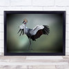 Top Model In The Photos Studio Animal Bird Crane Wings Pose Posing Art Print