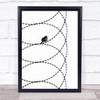 Transformation Bird Wire Barbed Fence Prison Wall Art Print