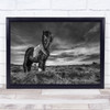 Two Of A Kind Iceland Animals Nature Wind Icelandic Horse Wall Art Print