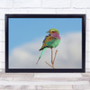 Vantage Point Bird Wildlife Wild Nature Twig Glance Look Out Looking Art Print
