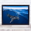 Whale Shark On Split Level Wildlife Sea Ocean Requin Surface Wall Art Print