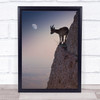 Wildlife Goat Mountain Animal Wild Balance Moon Wall Art Print