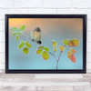 Winter Colours Stonechat Bramble Cold Birds Bird Grazalema Branch Wall Art Print
