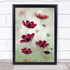 Cosmos Sway Maroon Burgundy Red Cambs Summer Wall Art Print