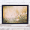Daisy Daises Summer Season Seasons Seasonal Flower Flowers Wall Art Print