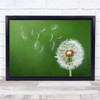 Dandelion Blowing Abstract Black Beauty Biology Blossom Blow Wall Art Print