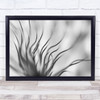 Dandelion Seeds Abstract Stalks Stalk Flower Seed Wall Art Print