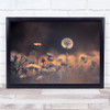 Dandelion Summer Garden Field Lawn Flower Flowers Bokeh Wall Art Print