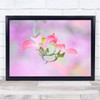 Dogwood Flower Spring Pastel Colours Wall Art Print