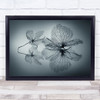 Ephemeral Beauty Delicate Elegance Line Petals Fragile Light Wall Art Print Ephemeral Beauty Delicate Elegance Line Petals Fragile Light Wall Art Print