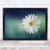 Flower L Petals Summer Green Daisy Daises Wall Art Print