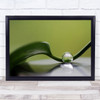 Green Harmony Drop Leaf Water Pearl Droplet Reflection Wall Art Print