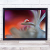 Happy colours Flower Flowers l Drop Water Droplet Wall Art Print
