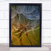 Inside Denmark Downy Tuft Seeds Seed Dandelion Flower Autumn Wall Art Print Inside Denmark Downy Tuft Seeds Seed Dandelion Flower Autumn Wall Art Print