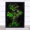 Mushroom Green Mushrooms Moss Fern Jungle Tree Forest Wall Art Print