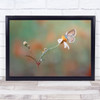Nangkring Indah Butterfly Plant Flower Bokeh Garden Summer Wall Art Print