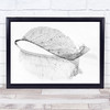 The Old Leaf Autumn Fall Skeleton Wall Art Print