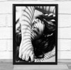 Hase Portrait Mood Studio Model Monochrome Shadow Light B&W Face Wall Art Print