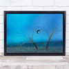 Keep The Balance Macro Still Life Abstract Blue Water Seed Drops Wall Art Print