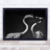 So It All Began Flamingo Flamingos Bird Birds B&W Animal Animals Wall Art Print