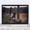 Forbidden Fruits Dogs Animals Fields Dachshund Morning Dog Pet Wall Art Print