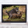 I Am The Boss Wolf Fight Leader Pack Mergentheim Wolves Animal Wall Art Print