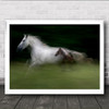 In Nspeed Lipicanci Horse Speed Baby Cute Long Exposure Motion Wall Art Print