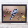 Codibugnolo Animal Animals Bird Birds Branch Twig Autumn Fall Wall Art Print