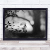 Rainy Day Rain Woman Mood Tree B&W Umbrella Texture Painterly Wall Art Print