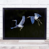 Companion Blue Heron Lovers Lover Love Chase High Definition Wall Art Print