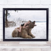 Girl Dream Bear Nature Russia Snow Embrace Hug Woman Person Wall Art Print