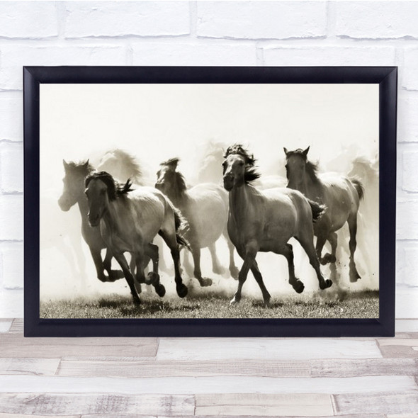 Horse Horses Gallop Running Run Speed Fast Animals Toned Wall Art Print