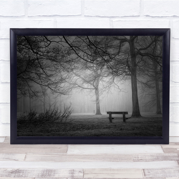 Frozen In Time Forest Foggy Holland Mysterious Trees Wall Art Print